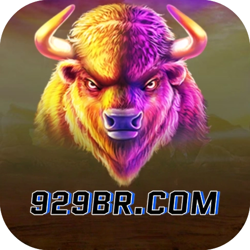 929br logo